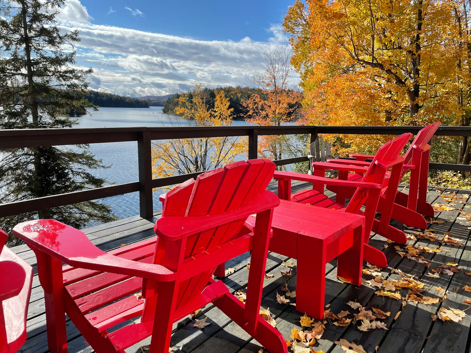 Painted home in the Kawarthas by Amora Painting